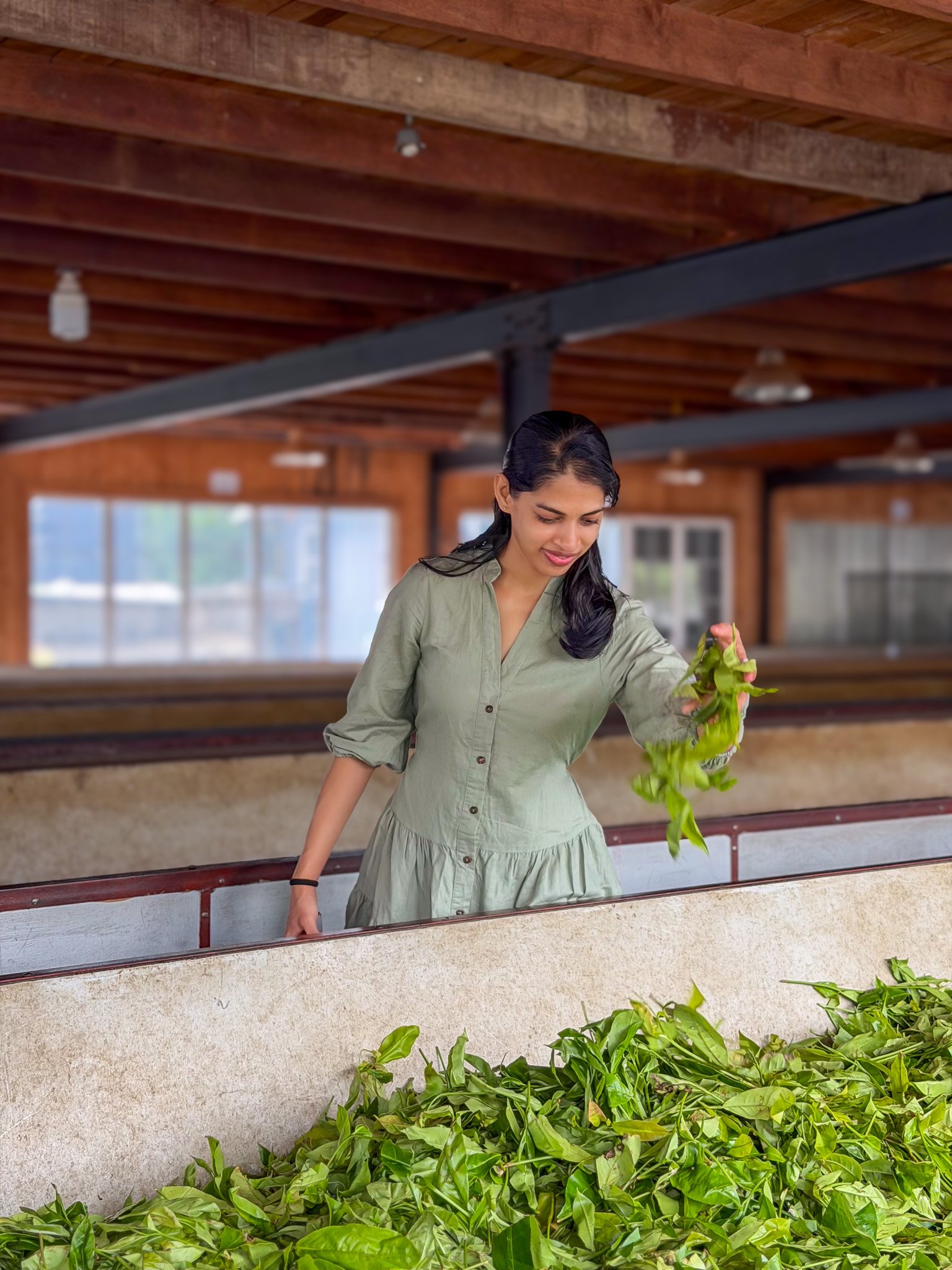 Signature Tea Factory Experience